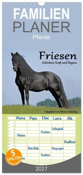 Familienplaner 2027 - Friesen - Schönheit Kraft und Eleganz mit 5 Spalten (Wandkalender 21 x 45 cm) CALVENDO