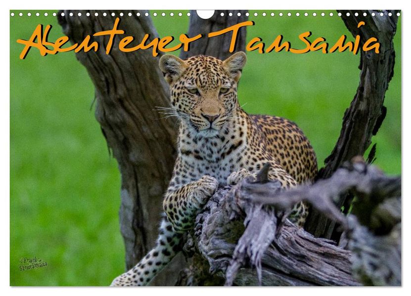 Abenteuer Tansania Afrika (Wandkalender 2027 DIN A3 quer) CALVENDO Monatskalender