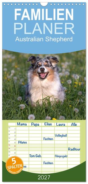 Familienplaner 2027 - Australian Shepherd mit 5 Spalten (Wandkalender 21 x 45 cm) CALVENDO