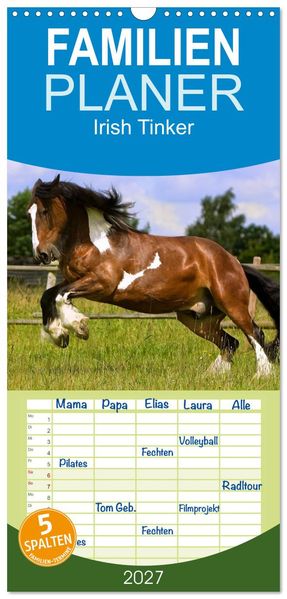 Familienplaner 2027 - Irish Tinker mit 5 Spalten (Wandkalender 21 x 45 cm) CALVENDO
