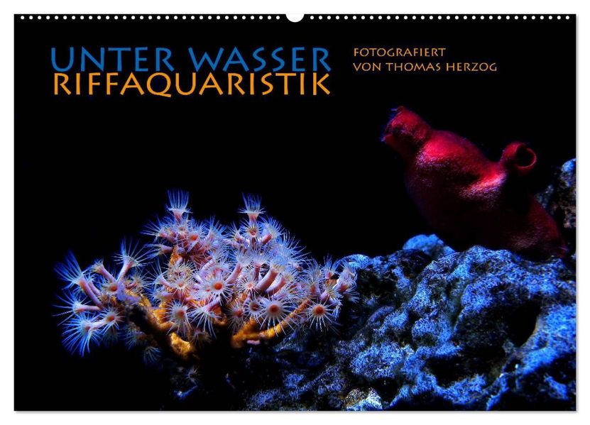 UNTER WASSER Riffaquaristik (Wandkalender 2027 DIN A2 quer) CALVENDO Monatskalender