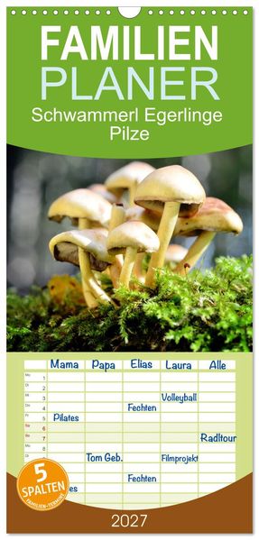 Familienplaner 2027 - Schwammerl Egerlinge Pilze mit 5 Spalten (Wandkalender 21 x 45 cm) CALVENDO