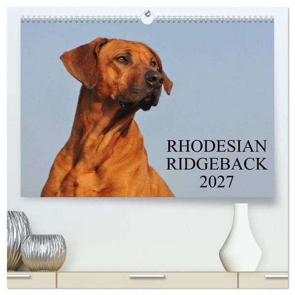 Rhodesian Ridgeback 2027 (hochwertiger Premium Wandkalender 2027 DIN A2 quer) Kunstdruck in Hochglanz
