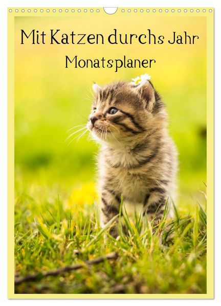 Mit Katzen durchs Jahr / Planer (Wandkalender 2027 DIN A3 hoch) CALVENDO Monatskalender
