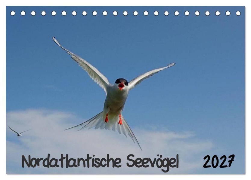 Nordatlantische Seevögel (Tischkalender 2027 DIN A5 quer) CALVENDO Monatskalender