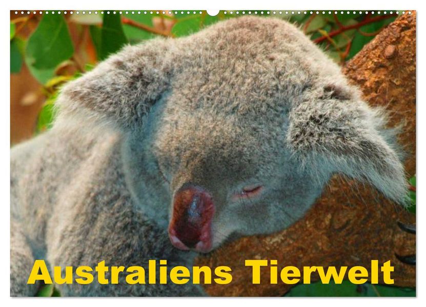 Australiens Tierwelt (Wandkalender 2027 DIN A2 quer) CALVENDO Monatskalender