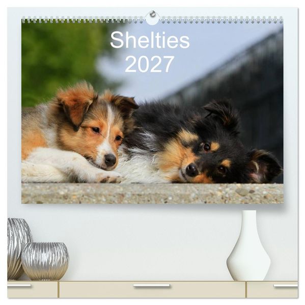 Shelties 2027 (hochwertiger Premium Wandkalender 2027 DIN A2 quer) Kunstdruck in Hochglanz