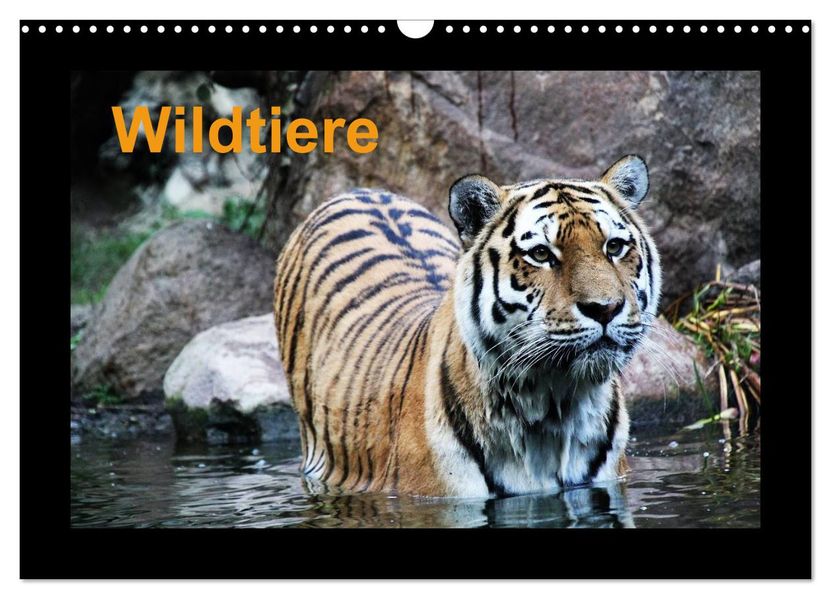 Wildtiere (Wandkalender 2027 DIN A3 quer) CALVENDO Monatskalender