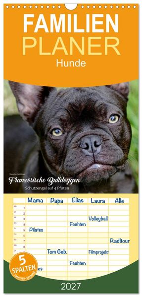 Familienplaner 2027 - Französische Bulldoggen - Schutzengel auf 4 Pfoten mit 5 Spalten (Wandkalender 21 x 45 cm) CALVENDO