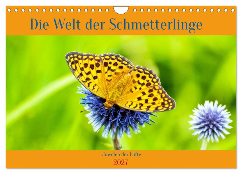 Die Welt der Schmetterlinge (Wandkalender 2027 DIN A4 quer) CALVENDO Monatskalender