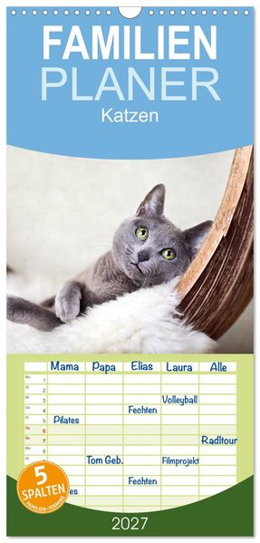 Familienplaner 2027 - Katzen mit 5 Spalten (Wandkalender 21 x 45 cm) CALVENDO