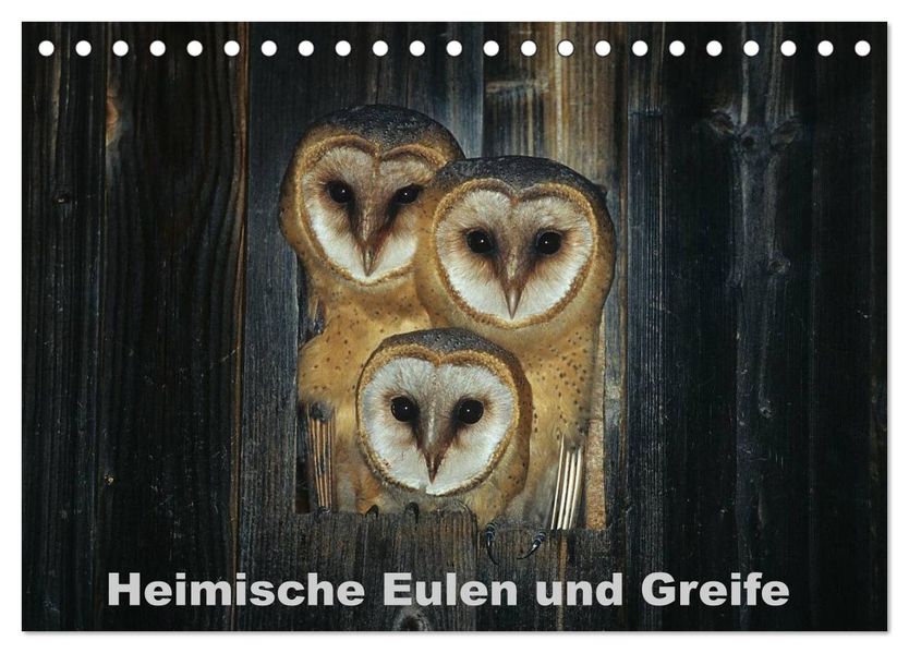 Heimische Eulen und Greife (Tischkalender 2027 DIN A5 quer) CALVENDO Monatskalender