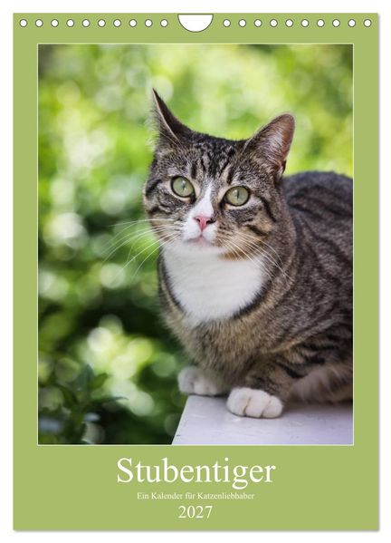 Stubentiger (Wandkalender 2027 DIN A4 hoch) CALVENDO Monatskalender