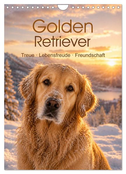 Golden Retriever - Treue Lebensfreude und Freundschaft (Wandkalender 2027 DIN A4 hoch) CALVENDO Monatskalender