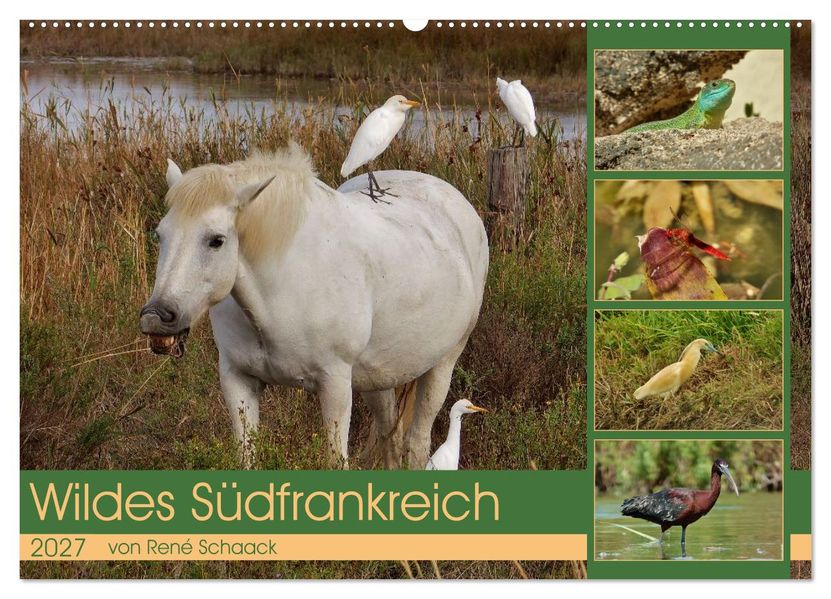 Wildes Südfrankreich (Wandkalender 2027 DIN A2 quer) CALVENDO Monatskalender