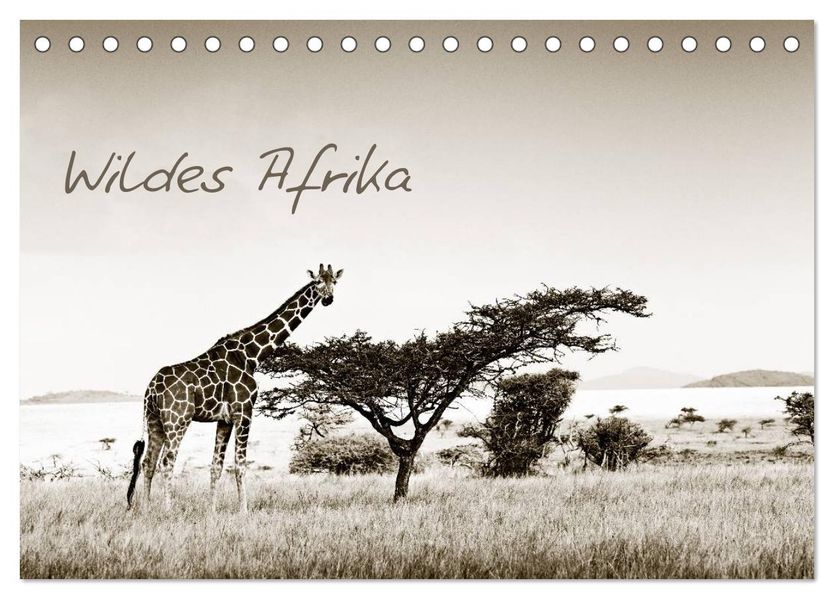 Wildes Afrika (Tischkalender 2027 DIN A5 quer) CALVENDO Monatskalender
