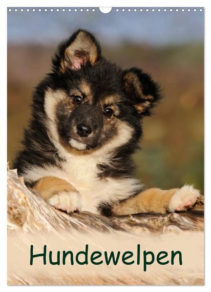 Hundewelpen (Wandkalender 2027 DIN A3 hoch) CALVENDO Monatskalender