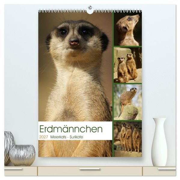 Erdmännchen-Meerkats-Surikate (hochwertiger Premium Wandkalender 2027 DIN A2 hoch) Kunstdruck in Hochglanz