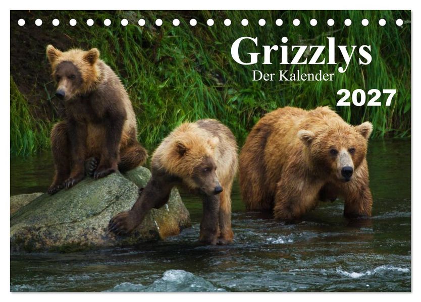 Grizzlys - Der Kalender (Tischkalender 2027 DIN A5 quer) CALVENDO Monatskalender