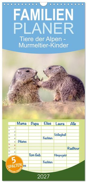 Familienplaner 2027 - Tiere der Alpen - Murmeltier-Kinder mit 5 Spalten (Wandkalender 21 x 45 cm) CALVENDO