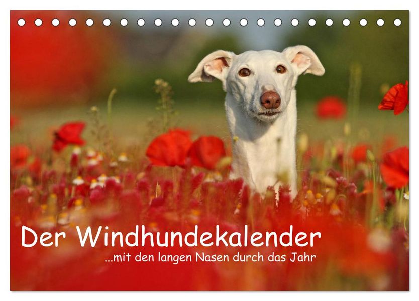 Der Windhundekalender (Tischkalender 2027 DIN A5 quer) CALVENDO Monatskalender