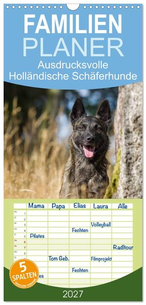 Familienplaner 2027 - ausdrucksvolle Holländische Schäferhunde mit 5 Spalten (Wandkalender 21 x 45 cm) CALVENDO