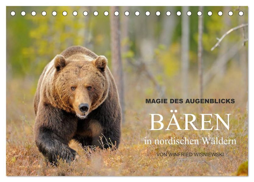 Magie des Augenblicks - Bären in nordischen Wäldern (Tischkalender 2027 DIN A5 quer) CALVENDO Monatskalender