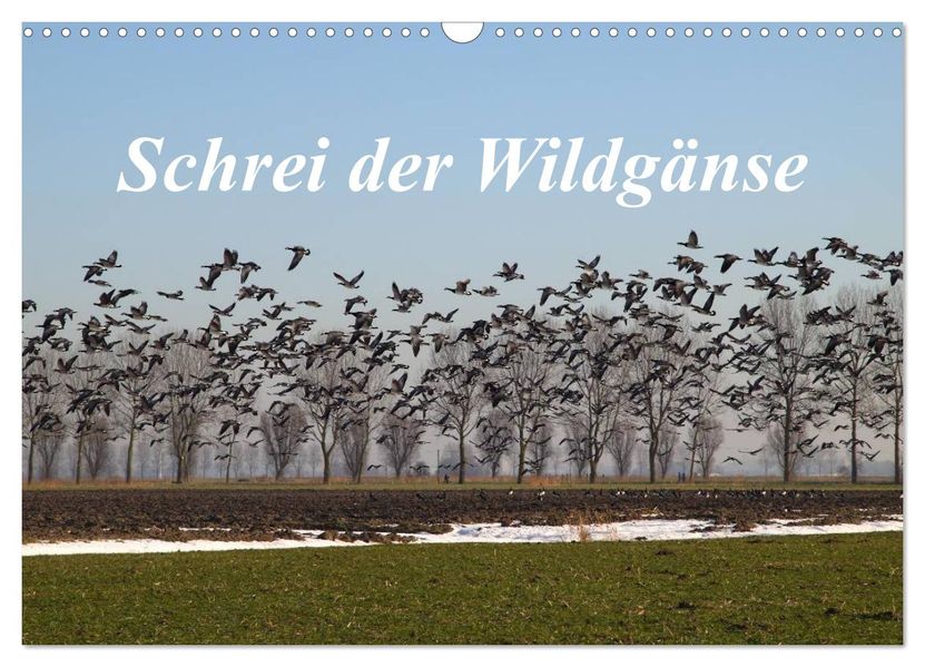 Schrei der Wildgänse (Wandkalender 2027 DIN A3 quer) CALVENDO Monatskalender