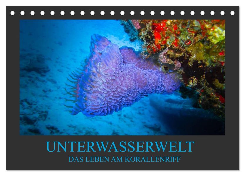 Unterwasserwelt - Das Leben am Korallenriff (Tischkalender 2027 DIN A5 quer) CALVENDO Monatskalender