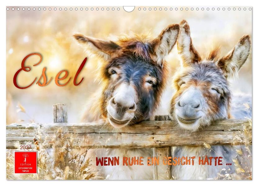 Esel - Wenn Ruhe ein Gesicht hätte (Wandkalender 2027 DIN A3 quer) CALVENDO Monatskalender