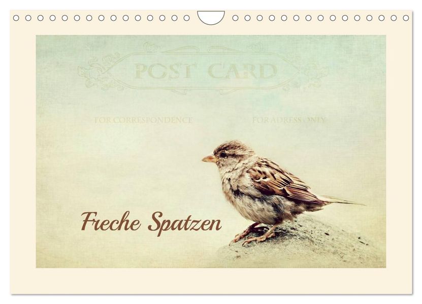 Freche Spatzen (Wandkalender 2027 DIN A4 quer) CALVENDO Monatskalender