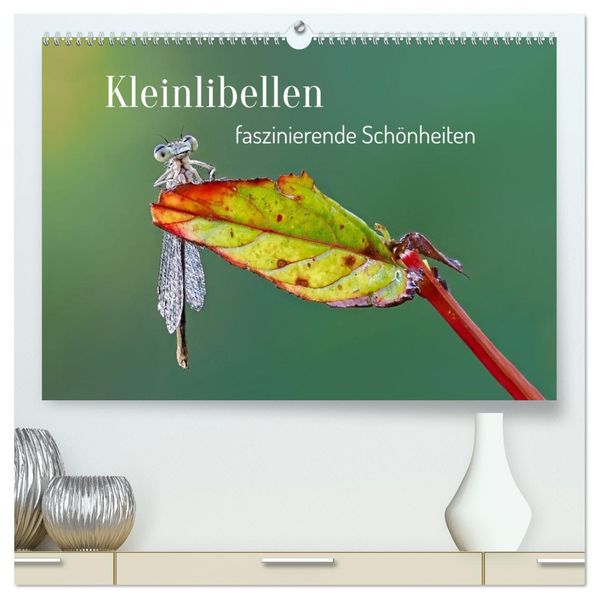 Kleinlibellen - faszinierende Schönheiten (hochwertiger Premium Wandkalender 2027 DIN A2 quer) Kunstdruck in Hochglanz