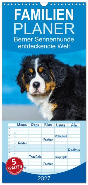 Familienplaner 2027 - Seebärchen entdecken die Welt - Berner Sennenhunde mit 5 Spalten (Wandkalender 21 x 45 cm) CALVENDO