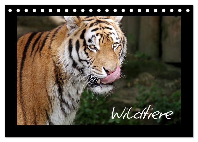 Wildtiere (Tischkalender 2027 DIN A5 quer) CALVENDO Monatskalender