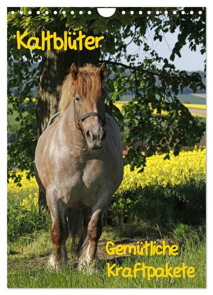 Kaltblüter (Wandkalender 2027 DIN A4 hoch) CALVENDO Monatskalender