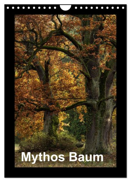 Mythos Baum / 2027 (Wandkalender 2027 DIN A4 hoch) CALVENDO Monatskalender
