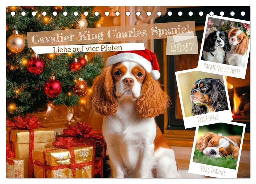 Cavalier King Charles Spaniel - Liebe auf vier Pfoten (Tischkalender 2027 DIN A5 quer) CALVENDO Monatskalender