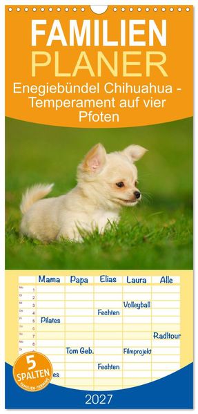 Familienplaner 2027 - Enegiebündel Chihuahua - Temperament auf vier Pfoten mit 5 Spalten (Wandkalender 21 x 45 cm) CALVENDO