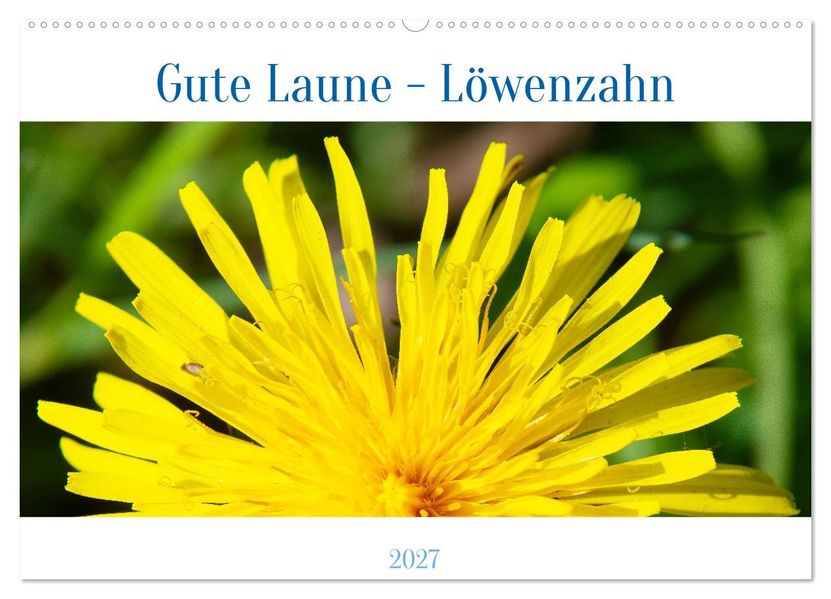 Gute Laune - Löwenzahn (Wandkalender 2027 DIN A2 quer) CALVENDO Monatskalender