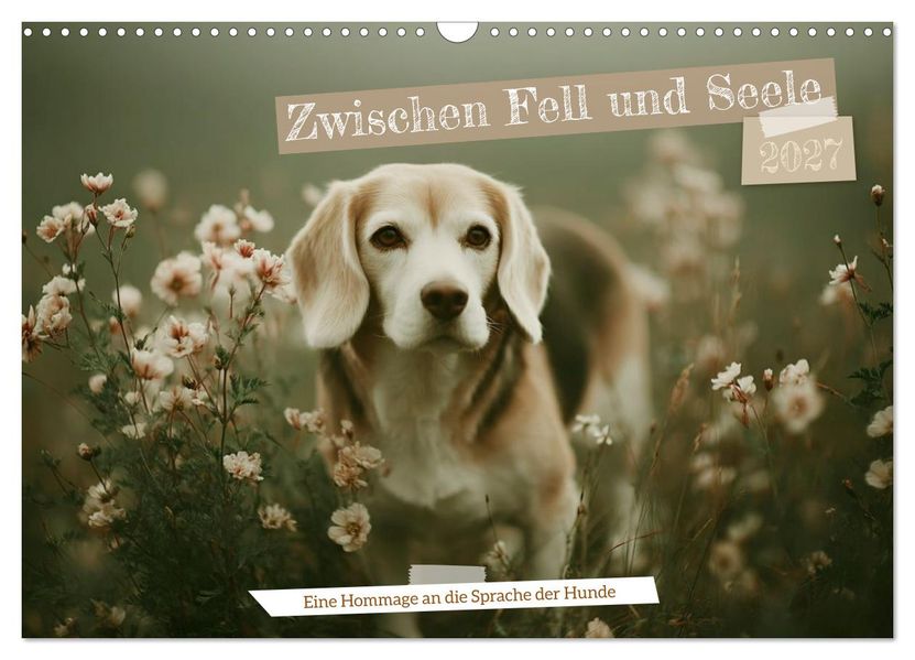 Zwischen Fell und Seele (Wandkalender 2027 DIN A3 quer) CALVENDO Monatskalender