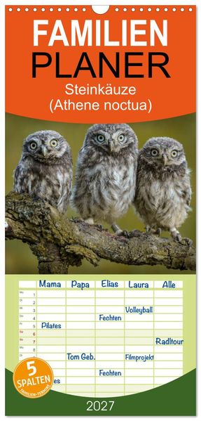 Familienplaner 2027 - Steinkäuze (Athene noctua) mit 5 Spalten (Wandkalender 21 x 45 cm) CALVENDO