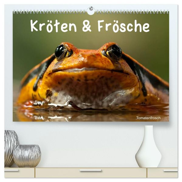 Kröten & Frösche (hochwertiger Premium Wandkalender 2027 DIN A2 quer) Kunstdruck in Hochglanz