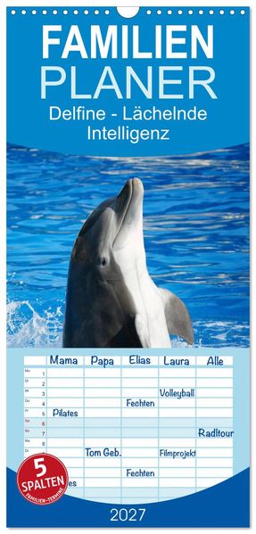 Familienplaner 2027 - Delfine - Lächelnde Intelligenz mit 5 Spalten (Wandkalender 21 x 45 cm) CALVENDO