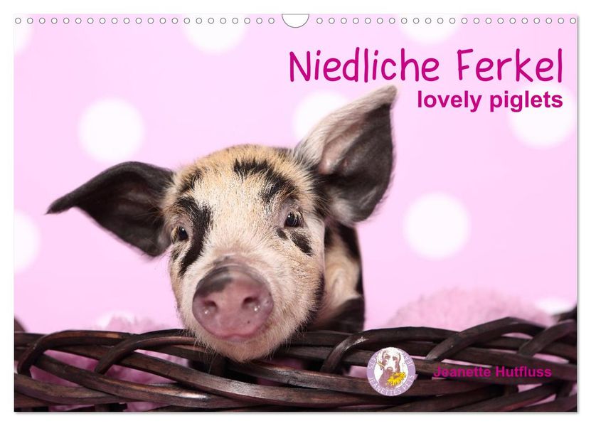 Niedliche Ferkel lovely piglets (Wandkalender 2027 DIN A3 quer) CALVENDO Monatskalender
