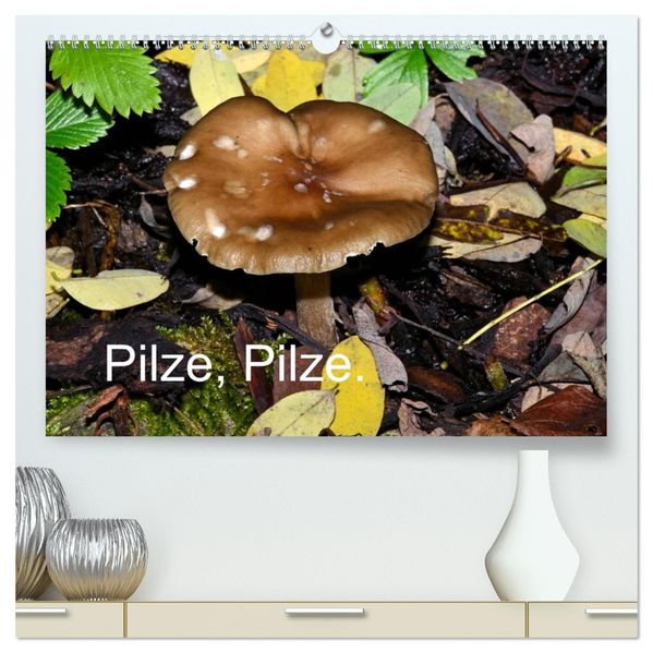 Pilze Pilze (hochwertiger Premium Wandkalender 2027 DIN A2 quer) Kunstdruck in Hochglanz
