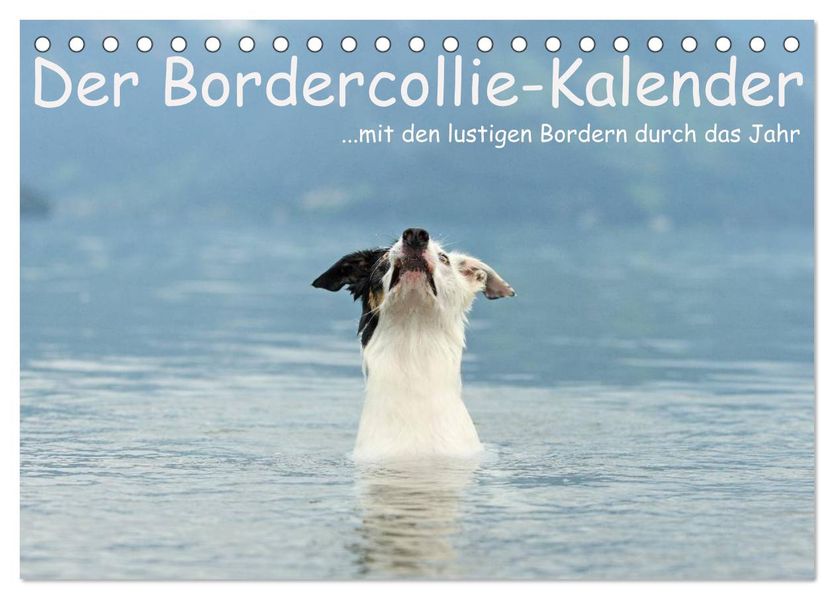 Der Bordercollie-Kalender (Tischkalender 2027 DIN A5 quer) CALVENDO Monatskalender