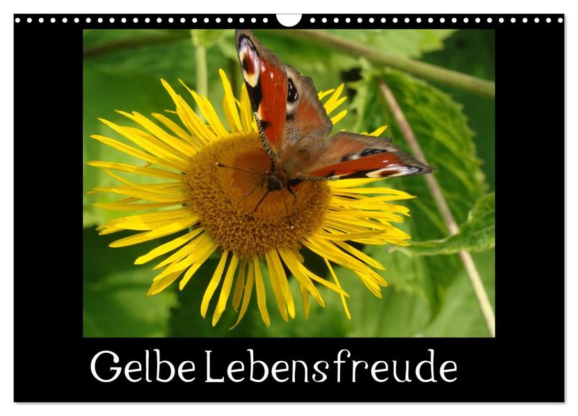Gelbe Lebensfreude (Wandkalender 2027 DIN A3 quer) CALVENDO Monatskalender