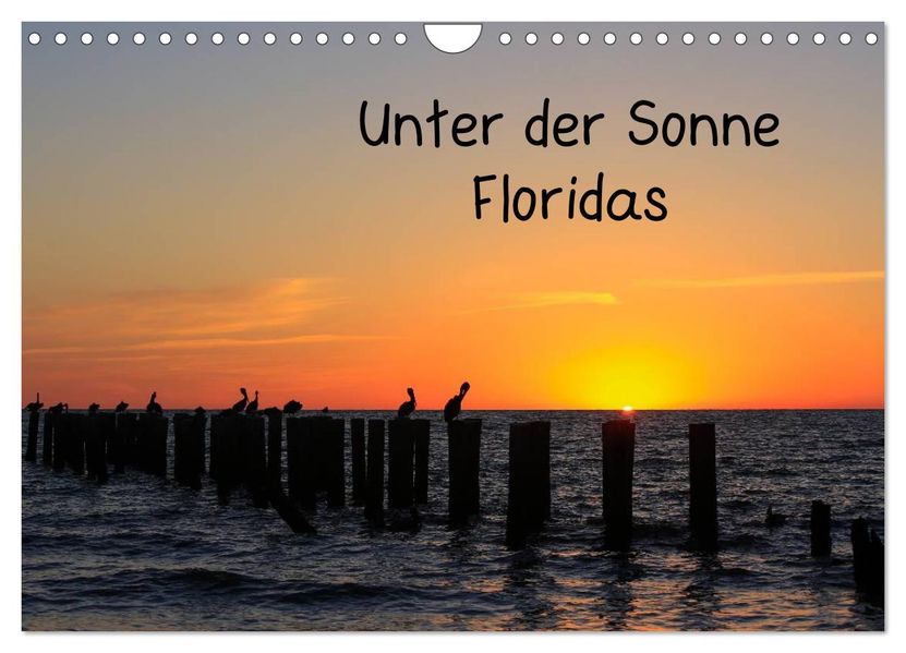 Unter der Sonne Floridas (Wandkalender 2027 DIN A4 quer) CALVENDO Monatskalender