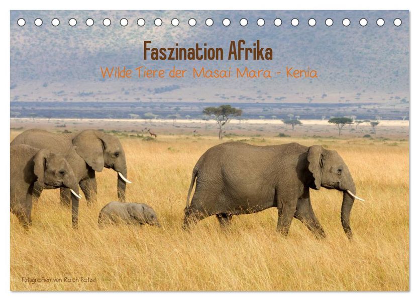 Faszination Afrika - wilde Tiere der Masai Mara - Kenia (Tischkalender 2027 DIN A5 quer) CALVENDO Monatskalender
