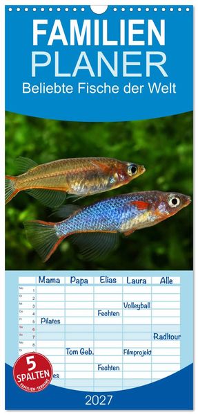 Familienplaner 2027 - Beliebte Fische der Welt mit 5 Spalten (Wandkalender 21 x 45 cm) CALVENDO